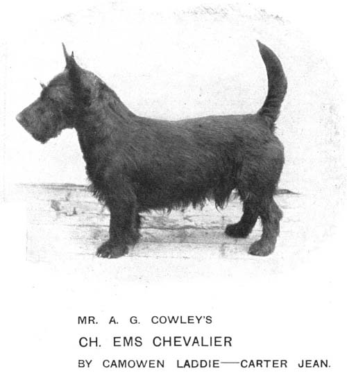 Ch Ems Chevalier